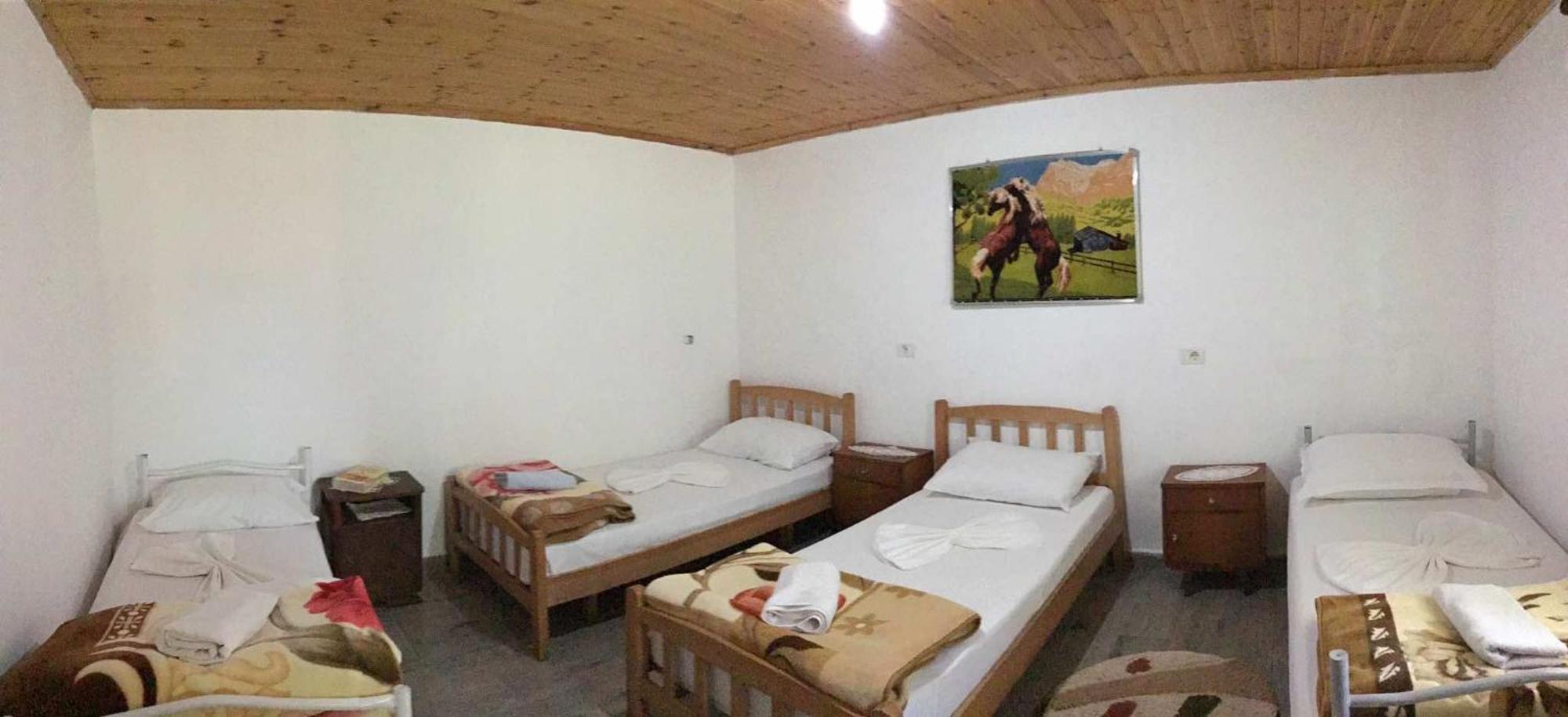 Zariklis Hotel Theth Bagian luar foto