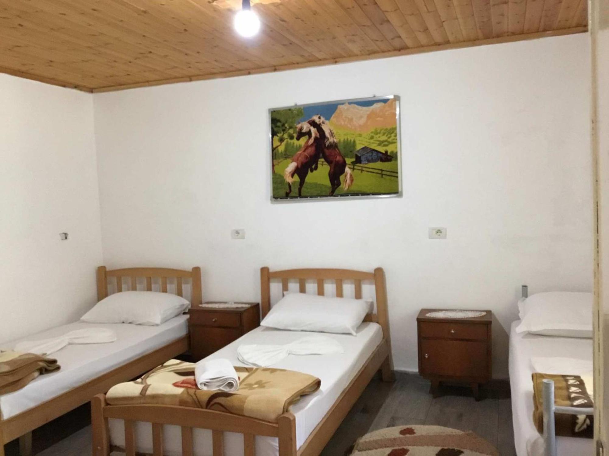 Zariklis Hotel Theth Bagian luar foto
